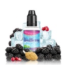 Concentré BLACKBERRY - Fresh & Sweet