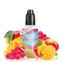 Concentré MANGRY - No Fresh & Sweet