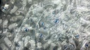 Drip tip - TEMSA